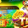 理性看待最新MG娱乐财富之路的机遇与风险