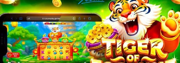理性看待最新MG娱乐财富之路的机遇与风险